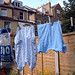 Ralph Laundry Photo 9