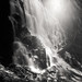 Ramona Falls Photo 8