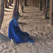 Amadou Fofana Photo 6