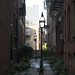 Charles Alley Photo 16