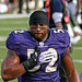 Ray Lewis Photo 3