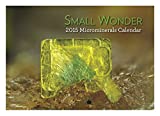 Small Wonder 2015 Microminerals Calendar