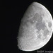Amar Moon Photo 9